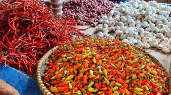 Harga Pangan Hari Ini, Cabai Rawit Tembus Rp61.350/kg